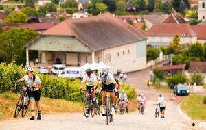 Les chemins Blancs à Bar-sur-Aube