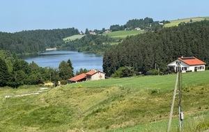 65